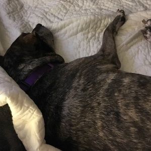 Meet your Posher, Elizabeth